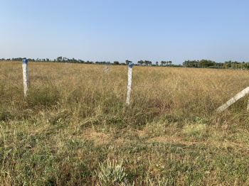 Agricultural/Farm Land For Sale In Nanguneri, Tirunelveli (1.9 Acre)
