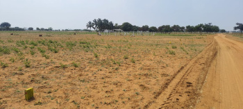 Residential Plot For Sale In Nanguneri, Tirunelveli (5.52 Cent)