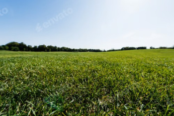 Property for sale in Nagercoil, Kanyakumari