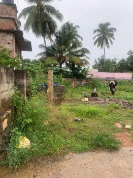 Property for sale in Neyyoor, Kanyakumari