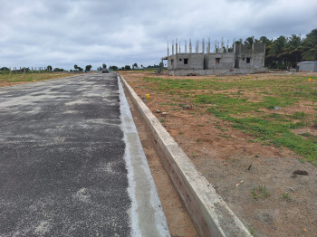 Residential Plot For Sale In Othakalmandapam, Coimbatore (1500 Sq.ft.)