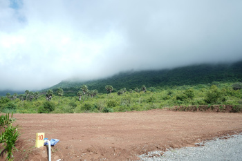 Residential Plot for Sale in Madampatti, Coimbatore (9600 Sq.ft.)
