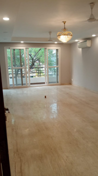 Flats & Apartments for Rent in Block S, Greater Kailash I, Delhi (2000 Sq.ft.)