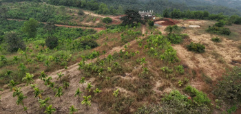 Property for sale in Kudal, Sindhudurg