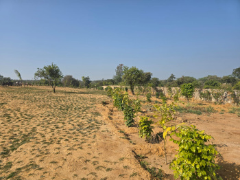 Farm House for Sale in Bandhwari, Gurgaon (2 Acre)