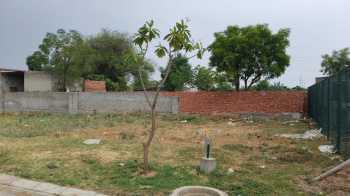 Residential Plot for Sale in Sector 9A, Gurgaon (502 Sq. Yards)