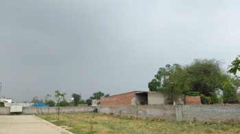 Residential Plot for Sale in Sector 91, Gurgaon (502 Sq. Yards)