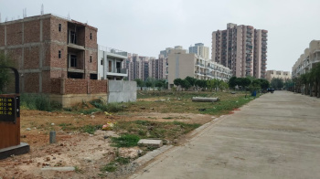 Residential Plot for Sale in Sector 102, Gurgaon (500 Sq. Yards)