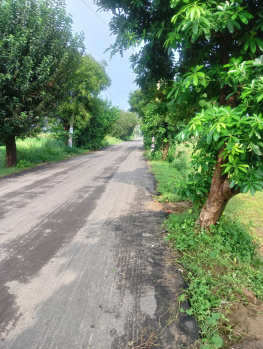 Agricultural/Farm Land For Sale In Sohna Road, Faridabad (1 Acre)