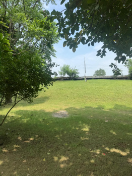 Agricultural/Farm Land for Sale in Sohna, Gurgaon (2 Acre)