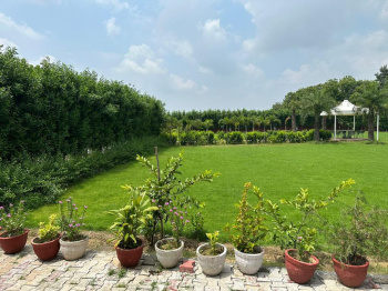 Agricultural/Farm Land for Sale in Sohna, Gurgaon (1 Acre)