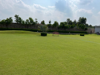 Agricultural/Farm Land for Sale in 33 Feet Road, Faridabad (1.5 Acre)