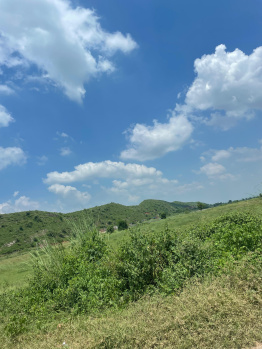 Agricultural/Farm Land for Sale in Naugaon, Alwar (15 Bigha)