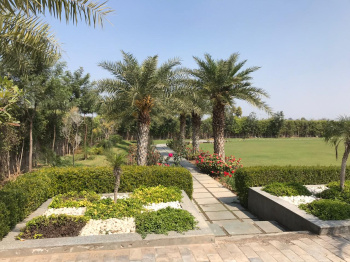 Agricultural/Farm Land for Sale in Sohna, Gurgaon (1 Acre)
