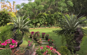 Agricultural/Farm Land for Sale in Sohna, Gurgaon (3600 Sq. Yards)