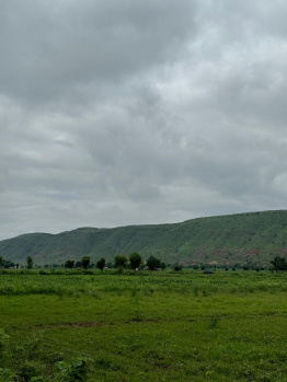 Agricultural/Farm Land for Sale in Naugaon, Alwar (10 Bigha)