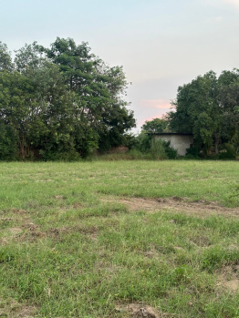 Agricultural/Farm Land for Sale in Sohna, Gurgaon (1.5 Acre)