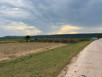 Agricultural/Farm Land for Sale in Naugaon, Alwar (6 Bigha)