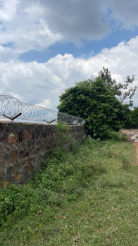 Agricultural/Farm Land for Sale in Naugaon, Alwar (7 Bigha)