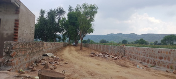 Agricultural/Farm Land for Sale in Naugaon, Alwar (10 Bigha)