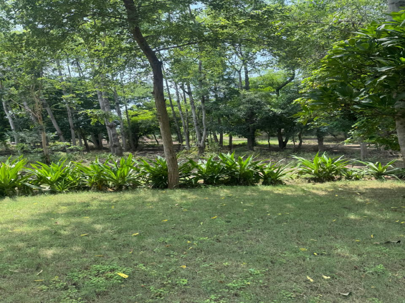 Agricultural/Farm Land for Sale in Sohna, Gurgaon (2420 Sq. Yards)