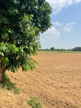 1 Acre Agricultural/Farm Land for Sale in Faridabad Road, Gurgaon