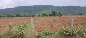 Agricultural/Farm Land for Sale in Naugaon, Alwar (6 Bigha)