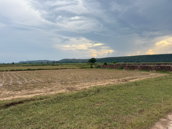 Agricultural/Farm Land for Sale in Naugaon, Alwar (8 Bigha)