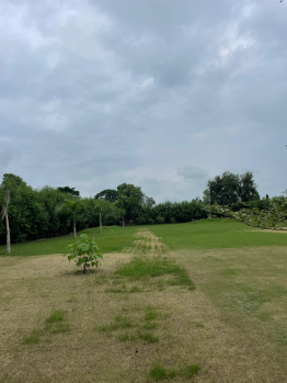 Agricultural/Farm Land for Sale in Sohna, Gurgaon (3000 Sq. Yards)