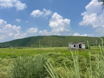 Agricultural/Farm Land for Sale in Naugaon, Alwar (15 Bigha)