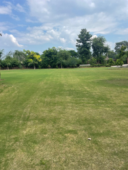 Agricultural/Farm Land for Sale in Sohna Road, Faridabad (3200 Sq. Yards)