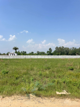 Agricultural/Farm Land for Sale in Tauru, Nuh (1 Acre)