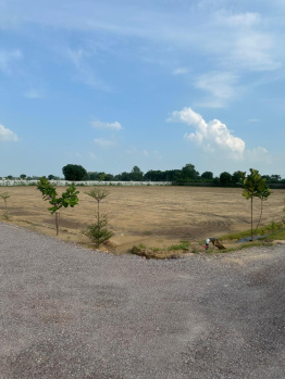 Agricultural/Farm Land for Sale in Ghasera, Nuh (2 Acre)