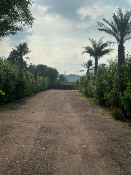 Property for sale in Ghasera, Nuh