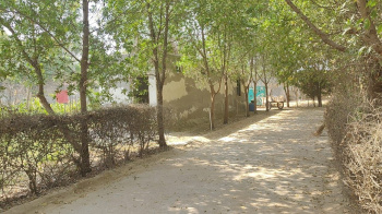 Agricultural/Farm Land for Sale in Sohna, Gurgaon (1 Acre)