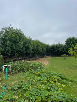 Property for sale in Sohna Palwal Road, Gurgaon