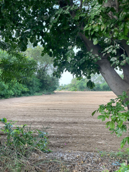 Agricultural/Farm Land for Sale in Faridabad Road, Gurgaon (1 Acre)