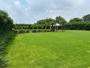 Agricultural/Farm Land for Sale in Faridabad Road, Gurgaon (1 Acre)