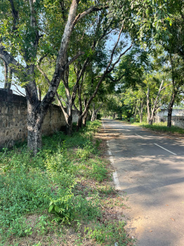 Agricultural/Farm Land for Sale in Faridabad Road, Gurgaon (1800 Sq. Yards)