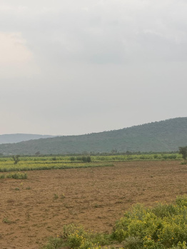 Agricultural/Farm Land for Sale in Pahari, Bharatpur (25 Bigha)