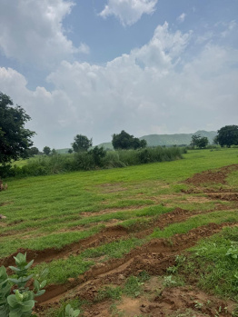 Agricultural/Farm Land for Sale in Pahari, Bharatpur (50 Bigha)