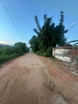 Agricultural/Farm Land for Sale in Sohna, Gurgaon (2800 Sq. Yards)