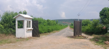 Agricultural/Farm Land for Sale in Pahari, Bharatpur (25 Bigha)