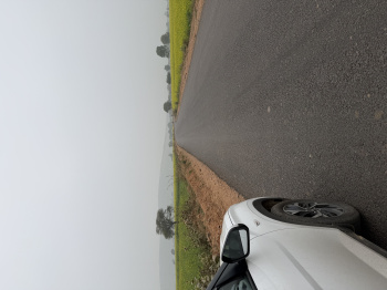 Agricultural/Farm Land for Sale in Pahari, Bharatpur (12 Bigha)