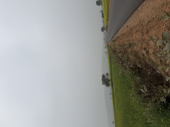 Agricultural/Farm Land for Sale in Naugaon, Alwar (25 Bigha)