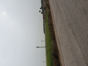 Agricultural/Farm Land for Sale in Naugaon, Alwar (60 Bigha)