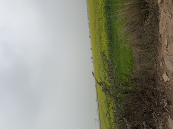 Property for sale in Naugaon, Alwar