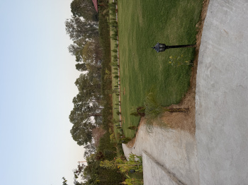 Agricultural/Farm Land for Sale in Naugaon, Alwar (5 Bigha)