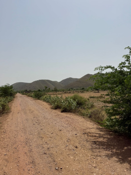 Agricultural/Farm Land for Sale in Ferozepur Jhirka, Nuh (1 Acre)