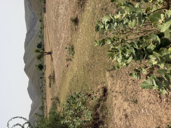 Property for sale in Ferozepur Jhirka, Nuh